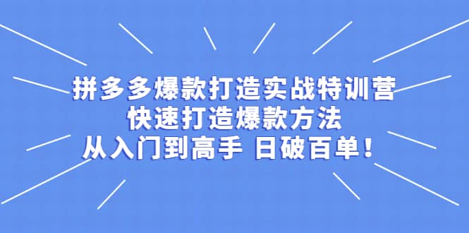 拼多多爆款打造实战特训营：快速打造爆款方法，从入门到高手 日破百单-菡洋资源网