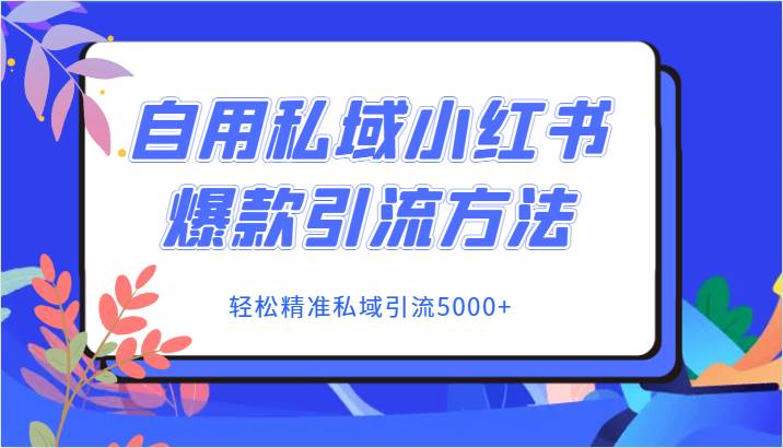 自用私域小红书爆款引流方法，轻松精准私域引流5000+-菡洋资源网