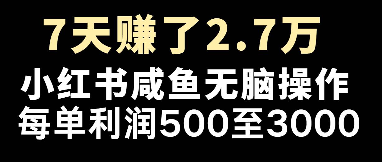 七天赚了2.7万！每单利润最少500+，轻松月入5万+小白有手就行-菡洋资源网