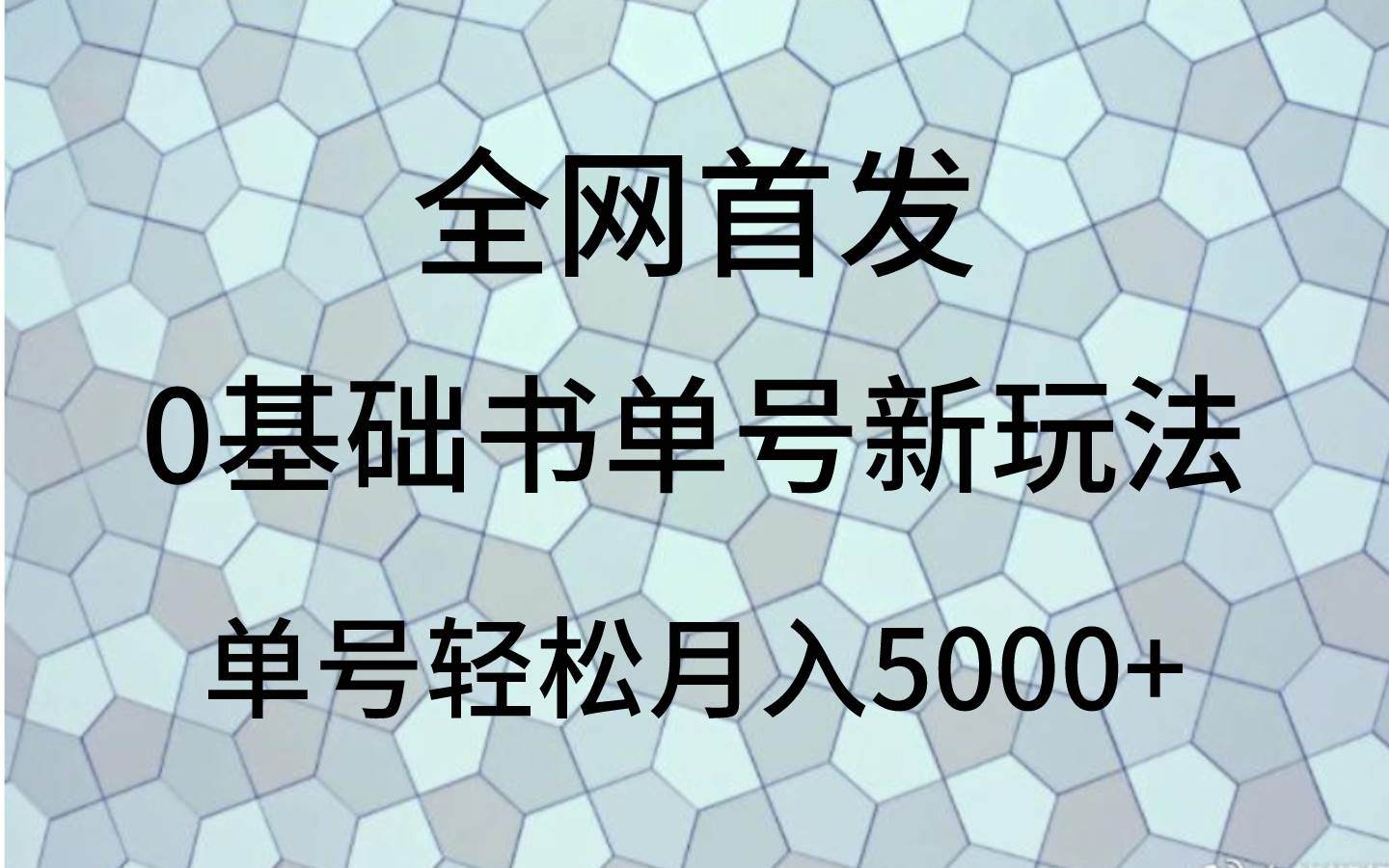 0基础书单号新玩法，操作简单，单号轻松月入5000+-菡洋资源网