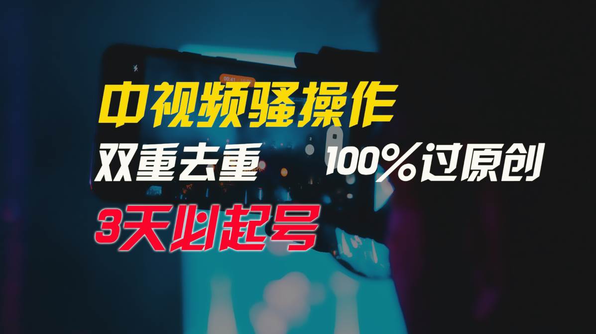 中视频骚操作，双重去重100%过原创，3天比必起号，简单无脑，月入3W+-菡洋资源网