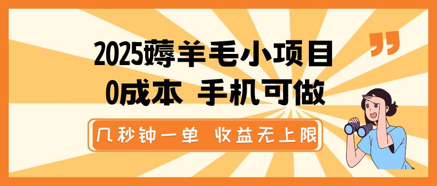 2025薅羊毛小项目，0成本 手机可做，几秒钟一单，收益无上限-菡洋资源网